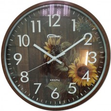 Космос 5596 подсолнухи